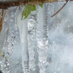 Eiszapfen 2