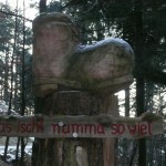 Schuh