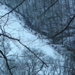 Völkerwanderung