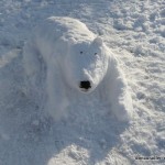 Der Eisbär