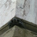 arme Schildkröte arme Schildkröte