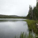 Dog lake Dog lake